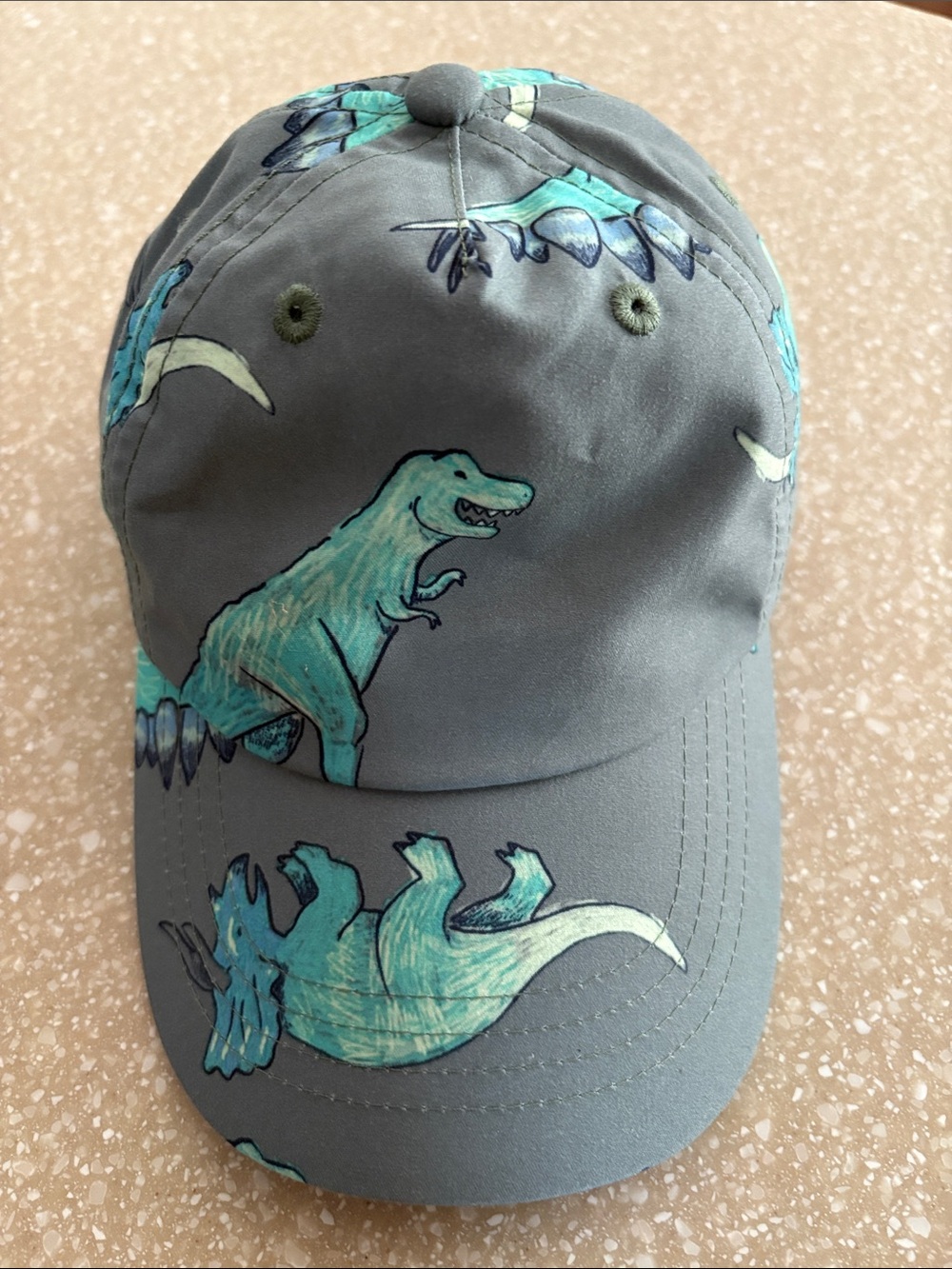 Carter's Gray Hat with Teal Dinosaur Print